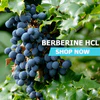 Berberine HCL Powder Questions & Answers